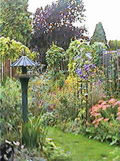 Bird Table