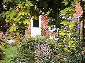 View towards house