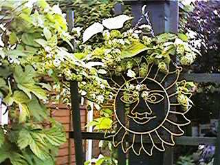 Silent wind-chime