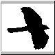 spar3.gif_t.jpg (1812 bytes)