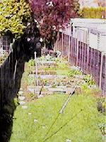 The Garden in Spring 98